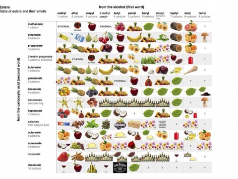 FRUTTA