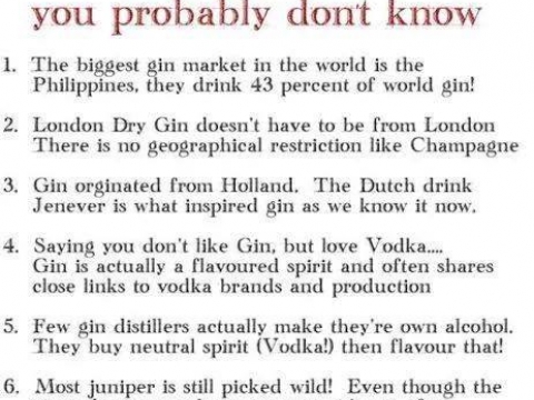 SIX GIN FACTS