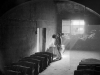 CANTINA DI COGNAC CHARENTE 1948