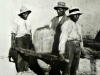 LAVORAZIONE PISCO